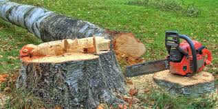 Best Utility Line Clearance  in Hidden Hills, CA